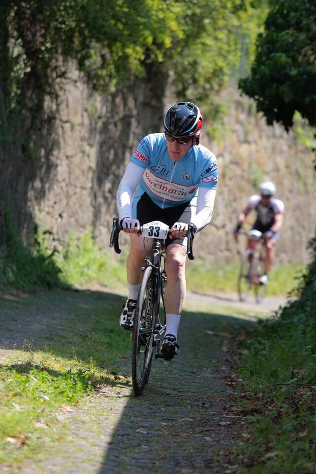 15ASD-VSi-GFLiotto2017