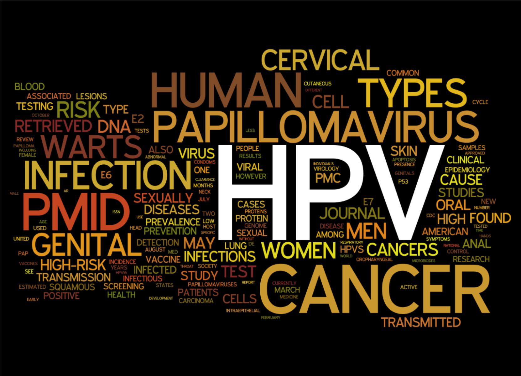 hpv vaccino veneto)